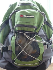 36a4c-duckbackpack2
