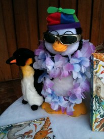 536a3-zoodisplaycloseup